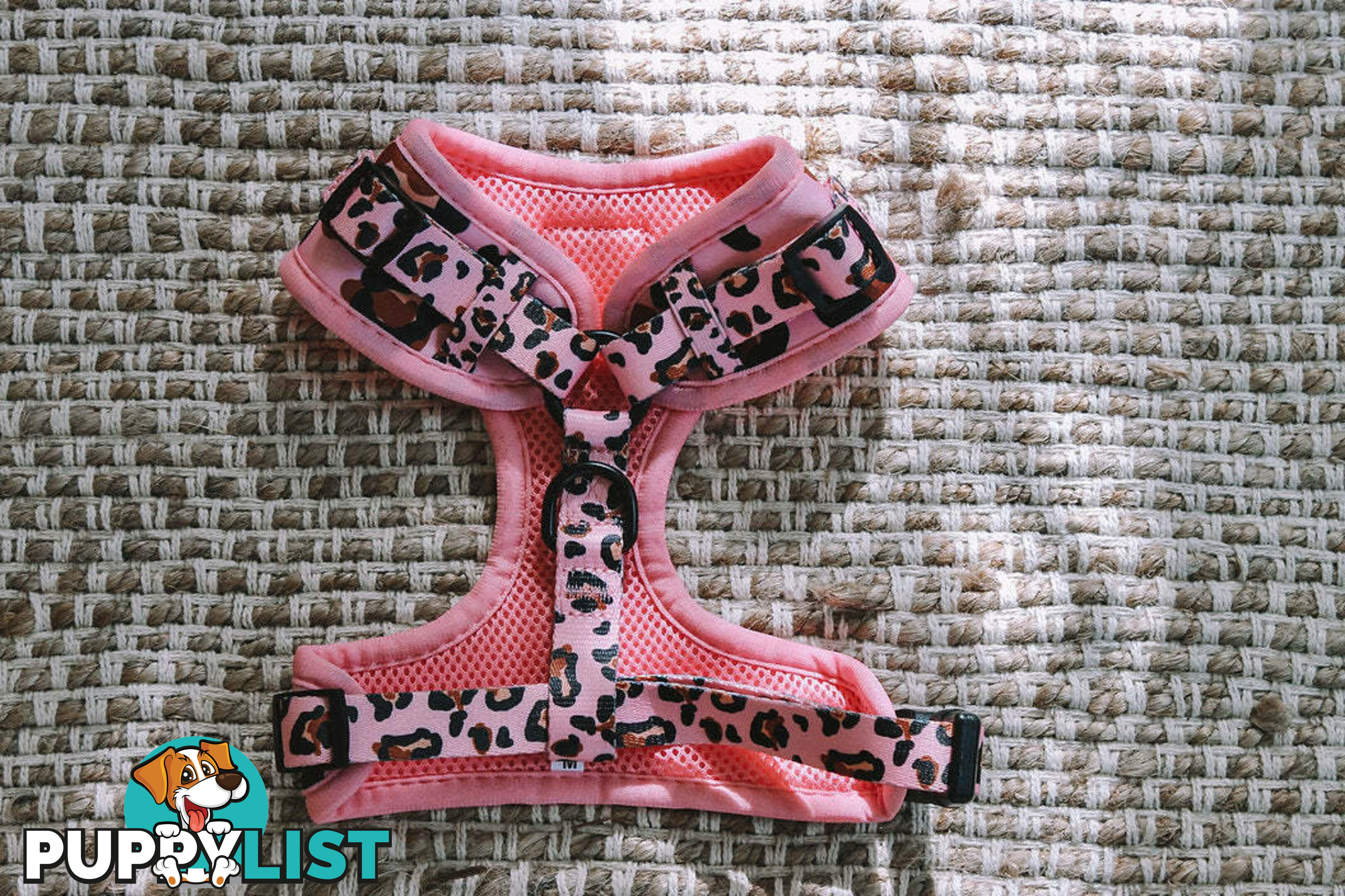 Designer Dog Harness by Explore with Paws - EWPHARTURSN