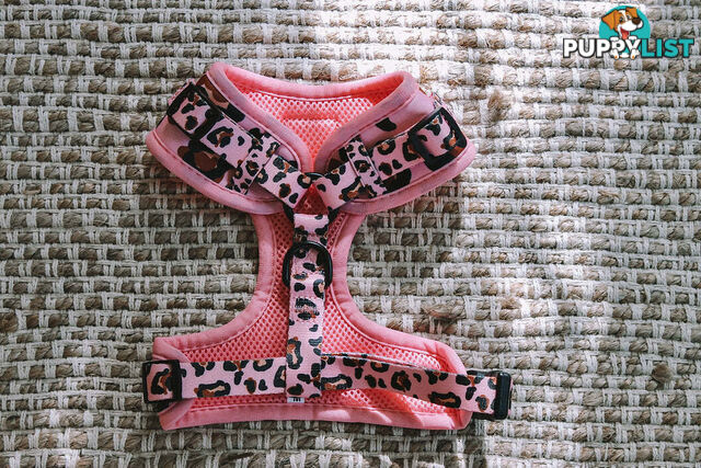 Designer Dog Harness by Explore with Paws - EWPHARTURSN