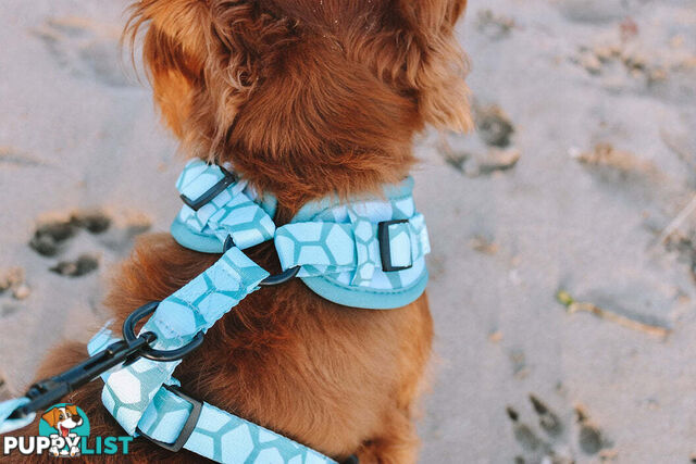 Designer Dog Harness by Explore with Paws - EWPHARTURSN