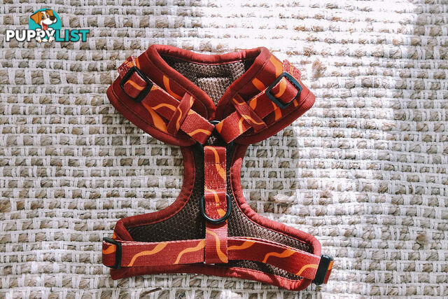 Designer Dog Harness by Explore with Paws - EWPHARTURSN
