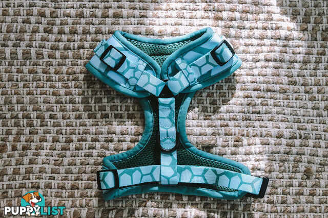Designer Dog Harness by Explore with Paws - EWPHARTURSN