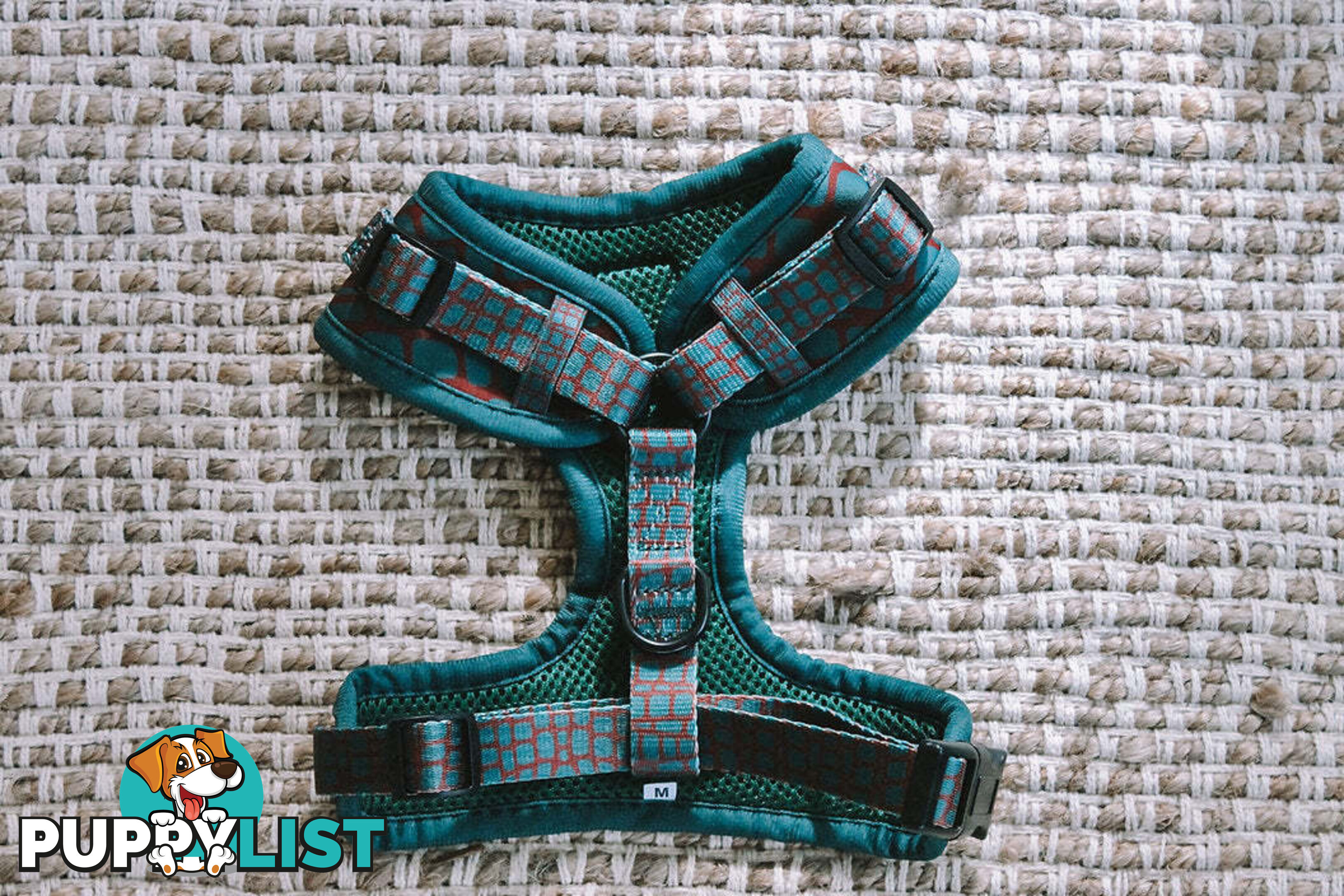 Designer Dog Harness by Explore with Paws - EWPHARTURSN