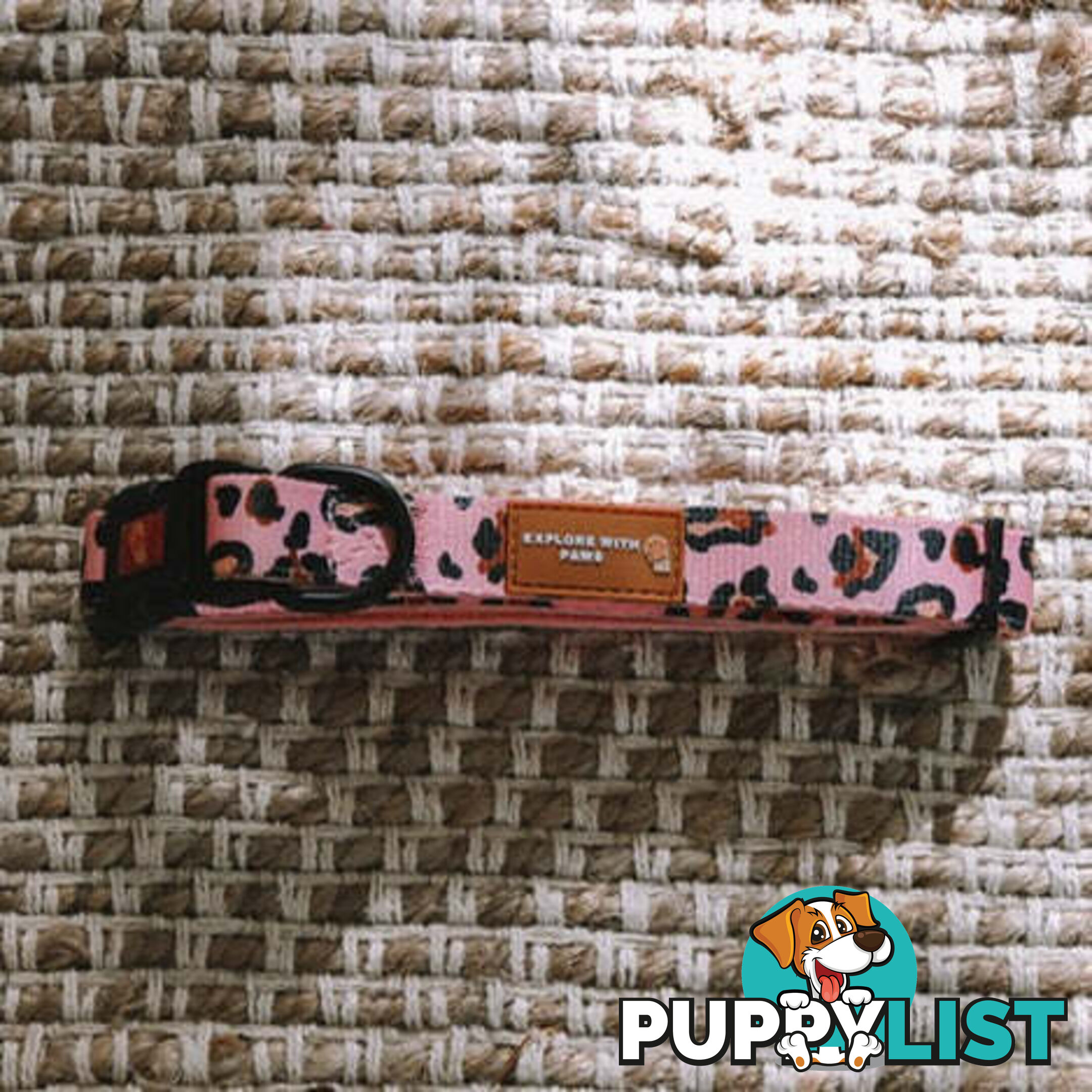 Designer Dog Collars by Explore with Paws - EWPCOLXSTURN
