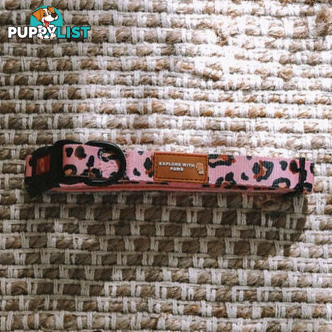Designer Dog Collars by Explore with Paws - EWPCOLXSTURN