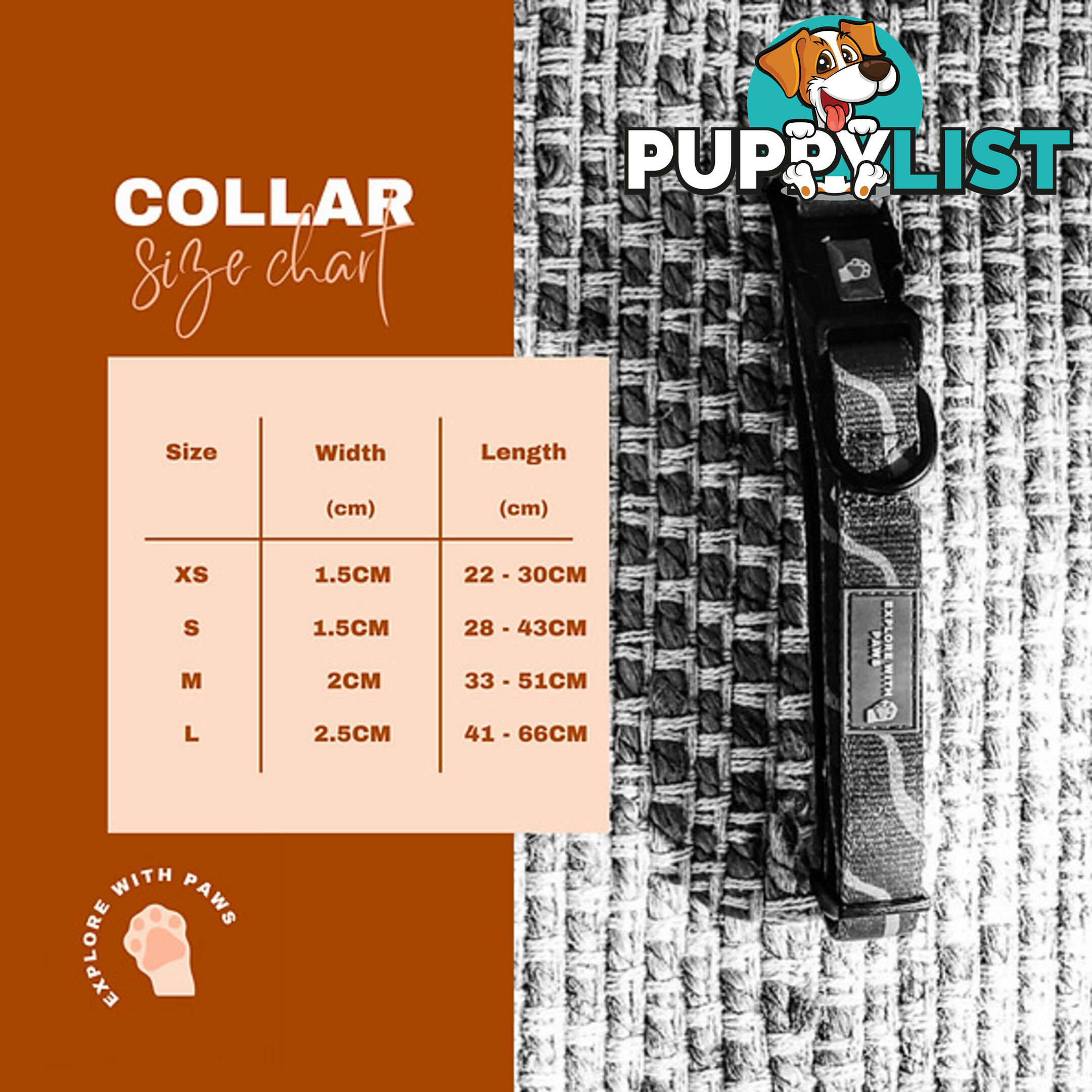 Designer Dog Collars by Explore with Paws - EWPCOLXSTURN