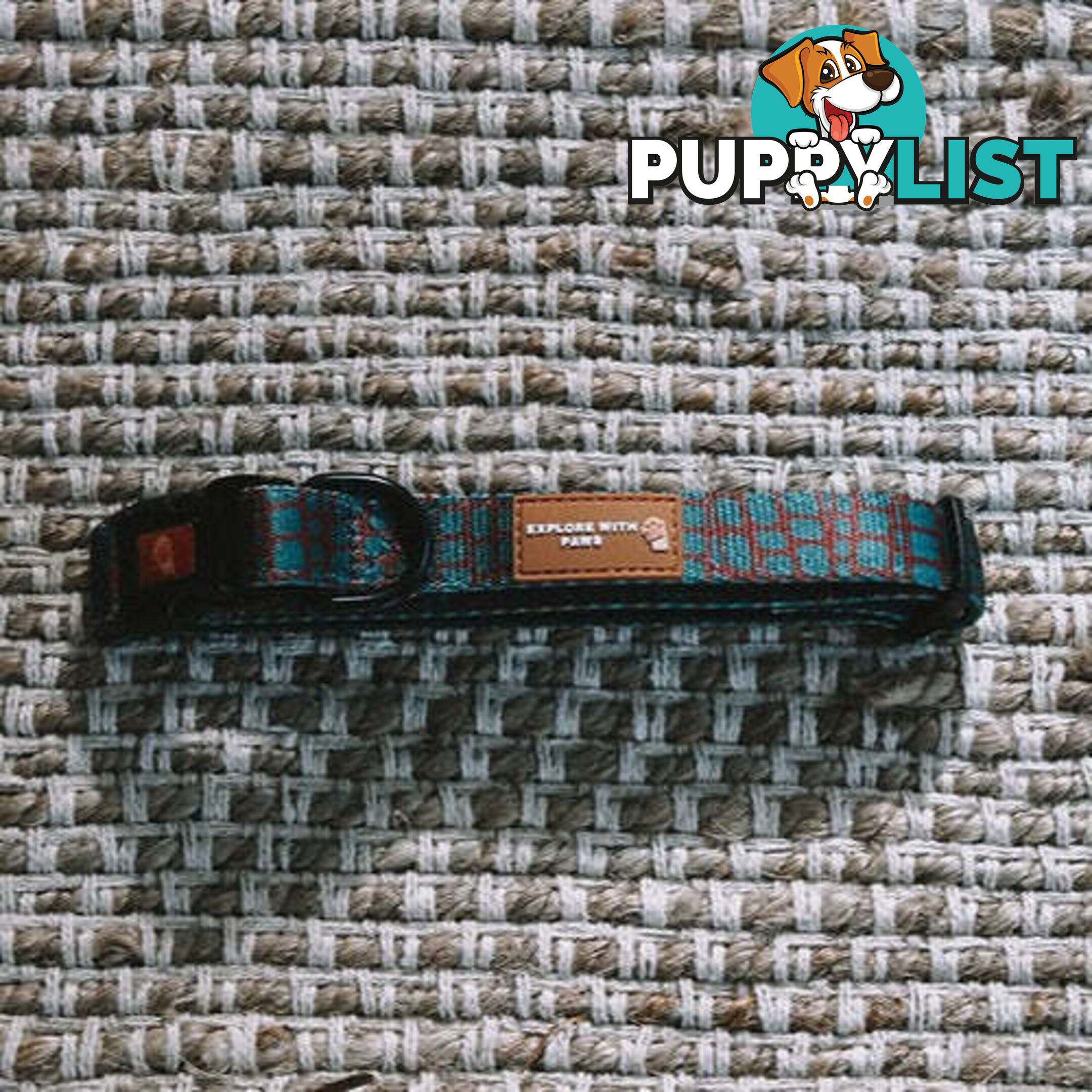 Designer Dog Collars by Explore with Paws - EWPCOLXSTURN