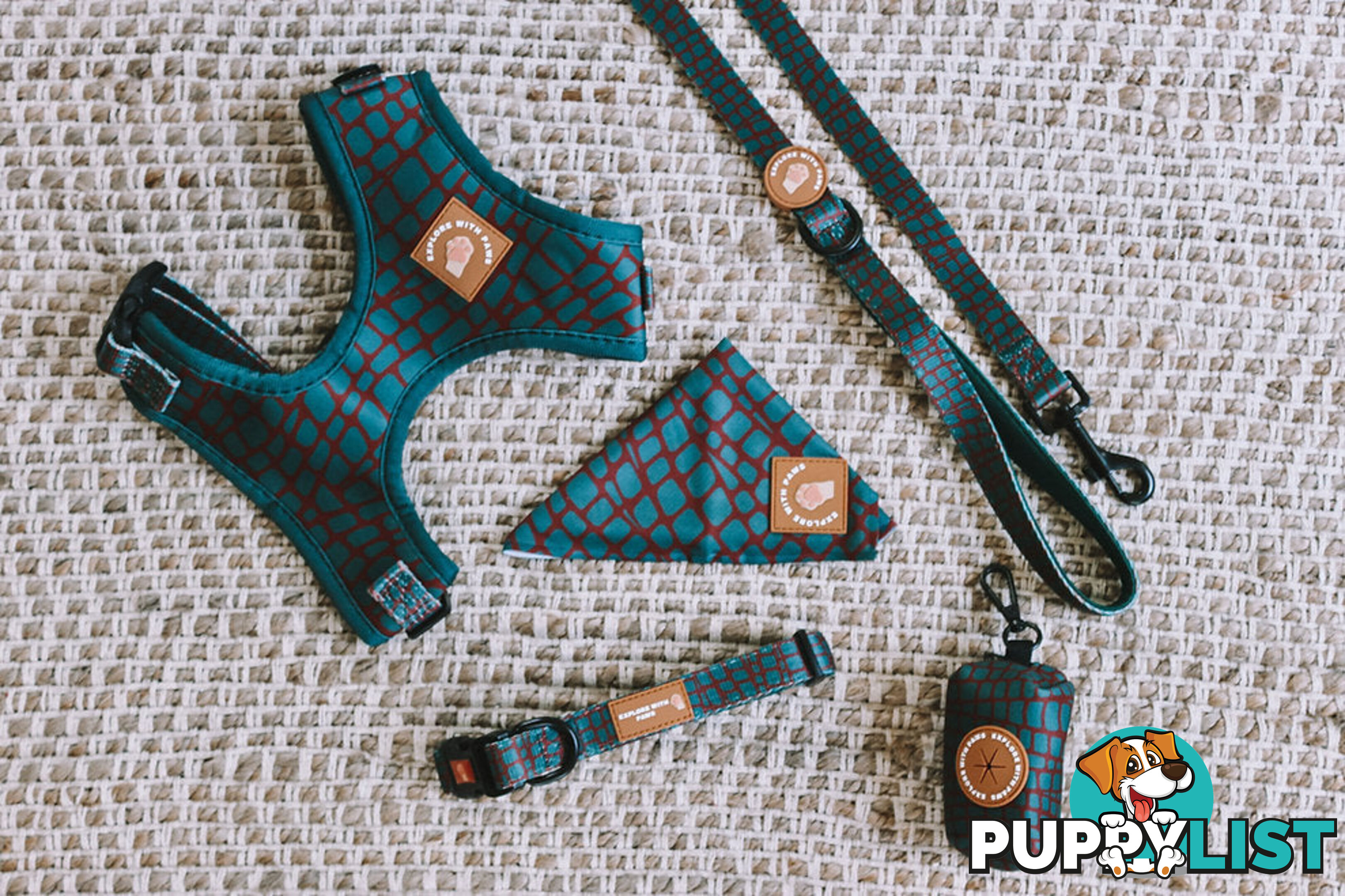 Designer Dog Collars by Explore with Paws - EWPCOLXSTURN