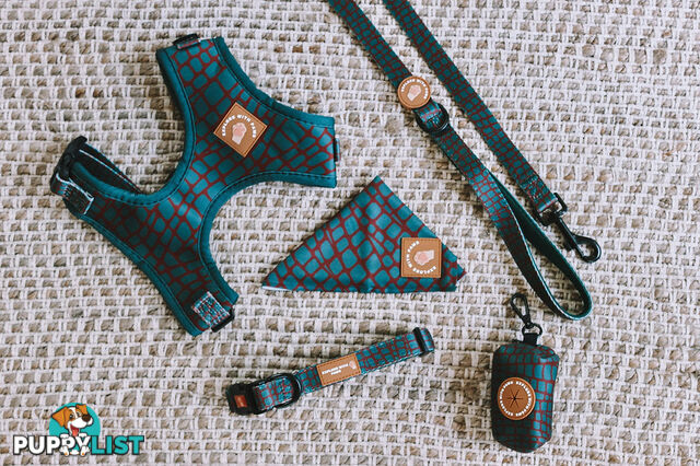 Designer Dog Collars by Explore with Paws - EWPCOLXSTURN