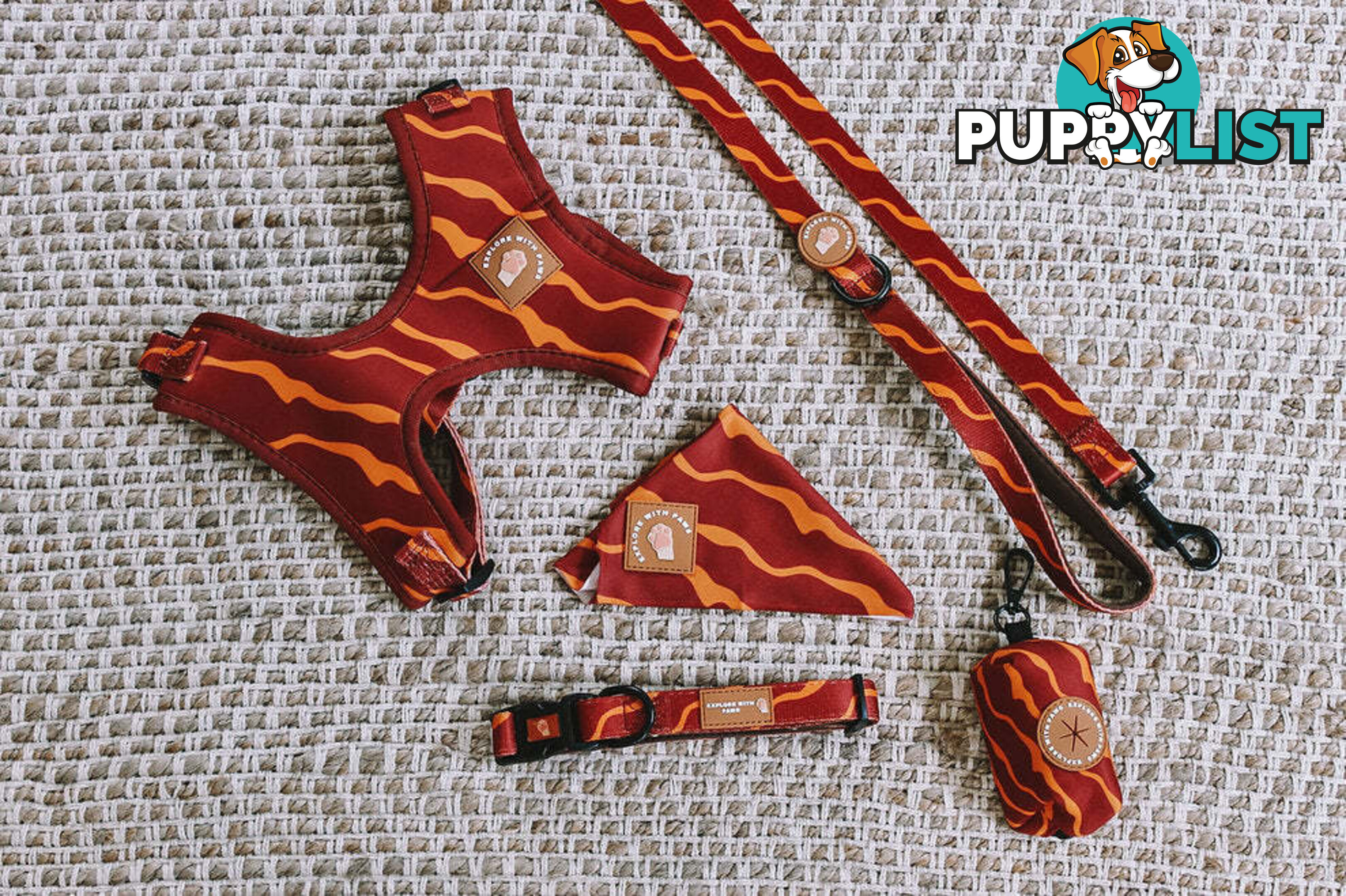 Designer Dog Collars by Explore with Paws - EWPCOLXSTURN
