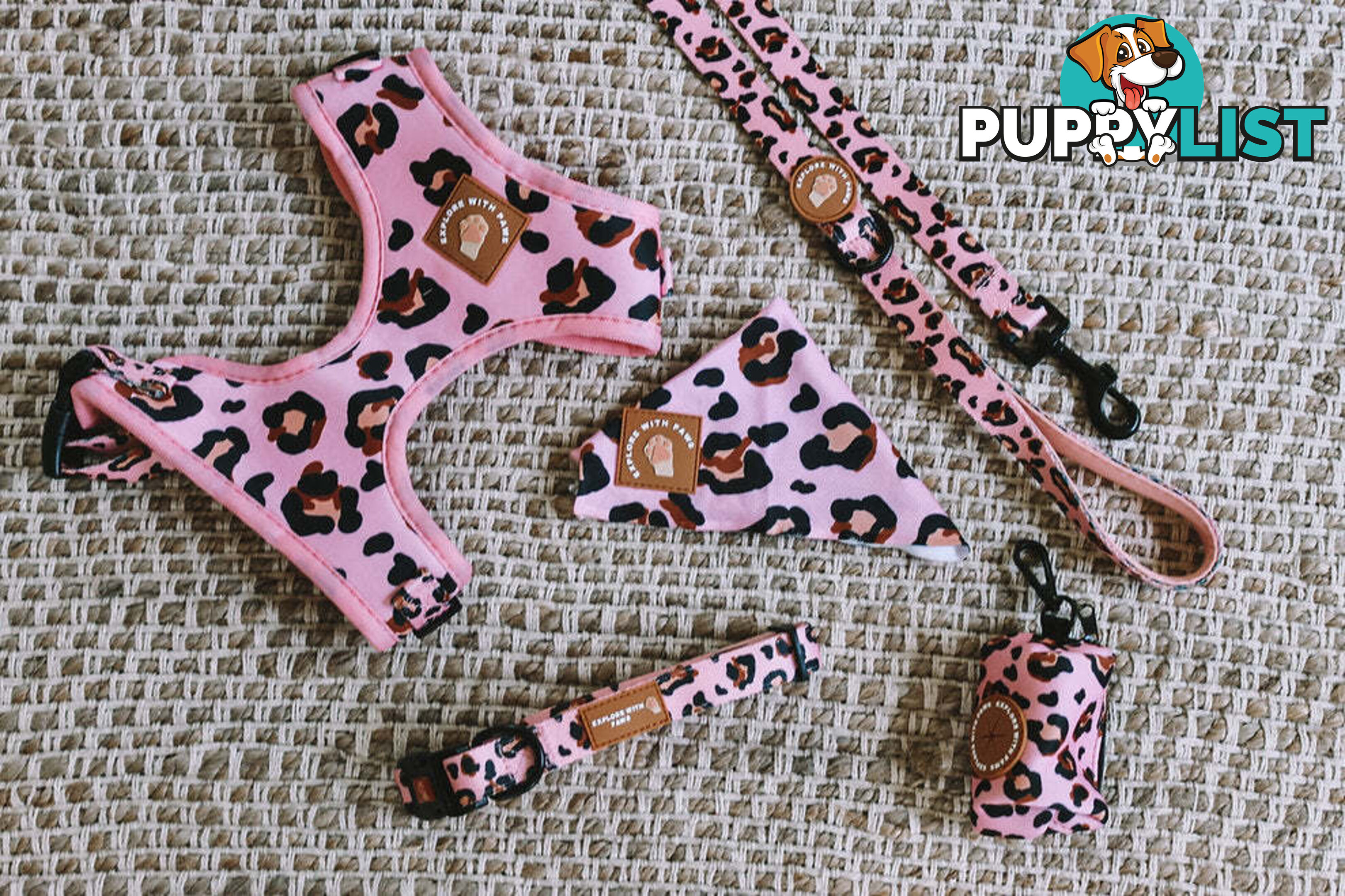 Designer Dog Collars by Explore with Paws - EWPCOLXSTURN
