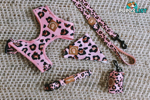 Designer Dog Collars by Explore with Paws - EWPCOLXSTURN
