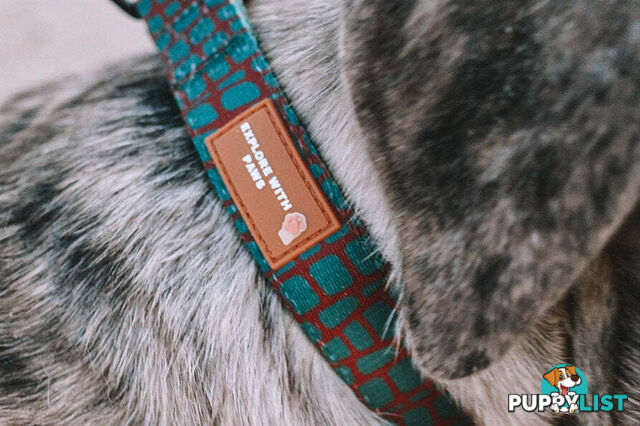 Designer Dog Collars by Explore with Paws - EWPCOLXSTURN