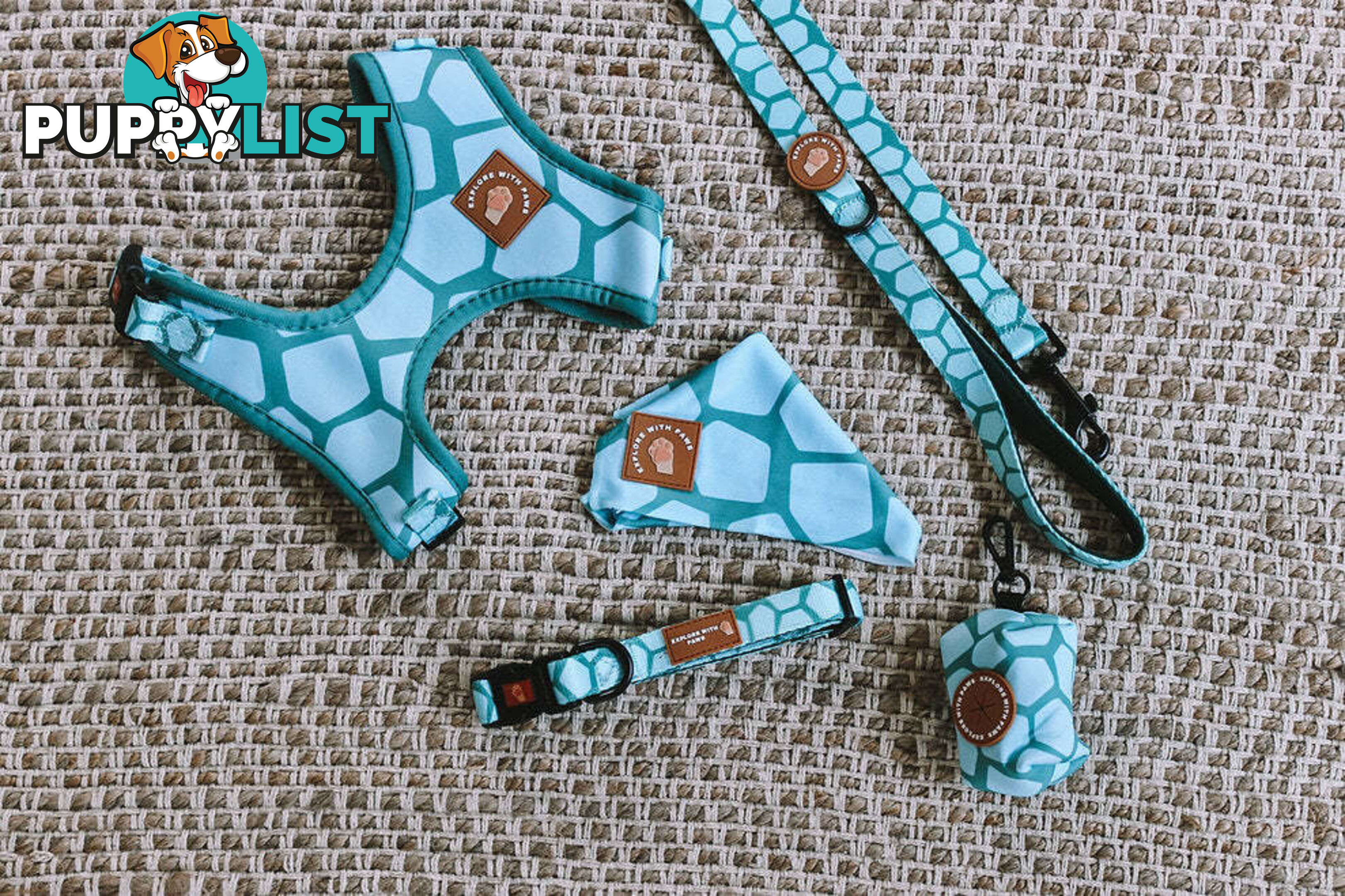 Designer Dog Collars by Explore with Paws - EWPCOLXSTURN