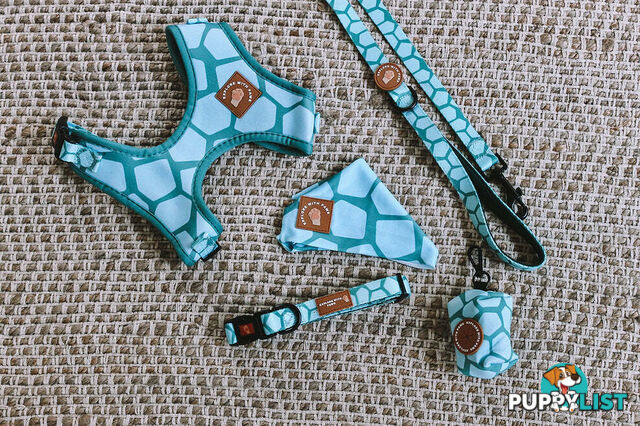 Designer Dog Collars by Explore with Paws - EWPCOLXSTURN