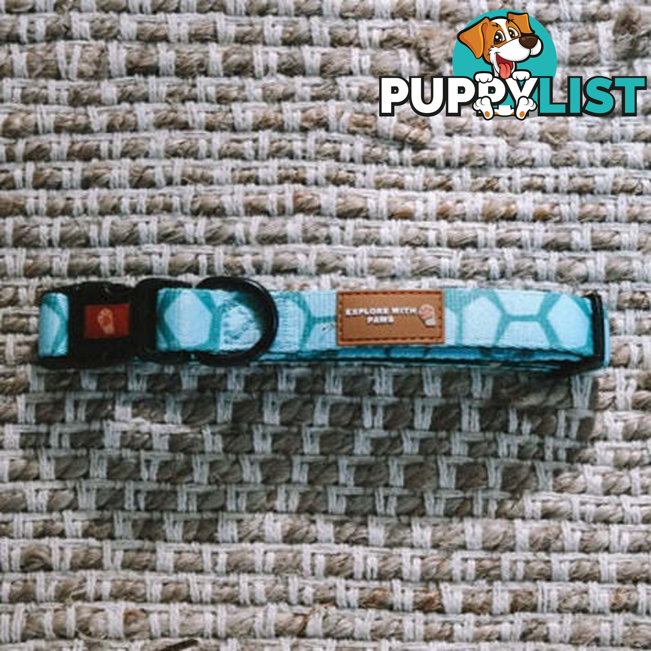Designer Dog Collars by Explore with Paws - EWPCOLXSTURN