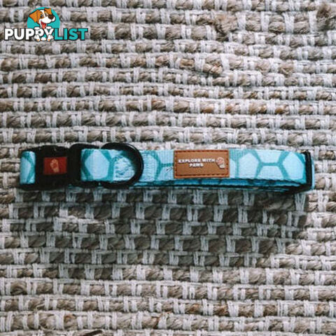 Designer Dog Collars by Explore with Paws - EWPCOLXSTURN