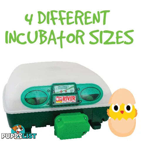 INCUBATORS - BAINBRIDGE - BB-A8077
