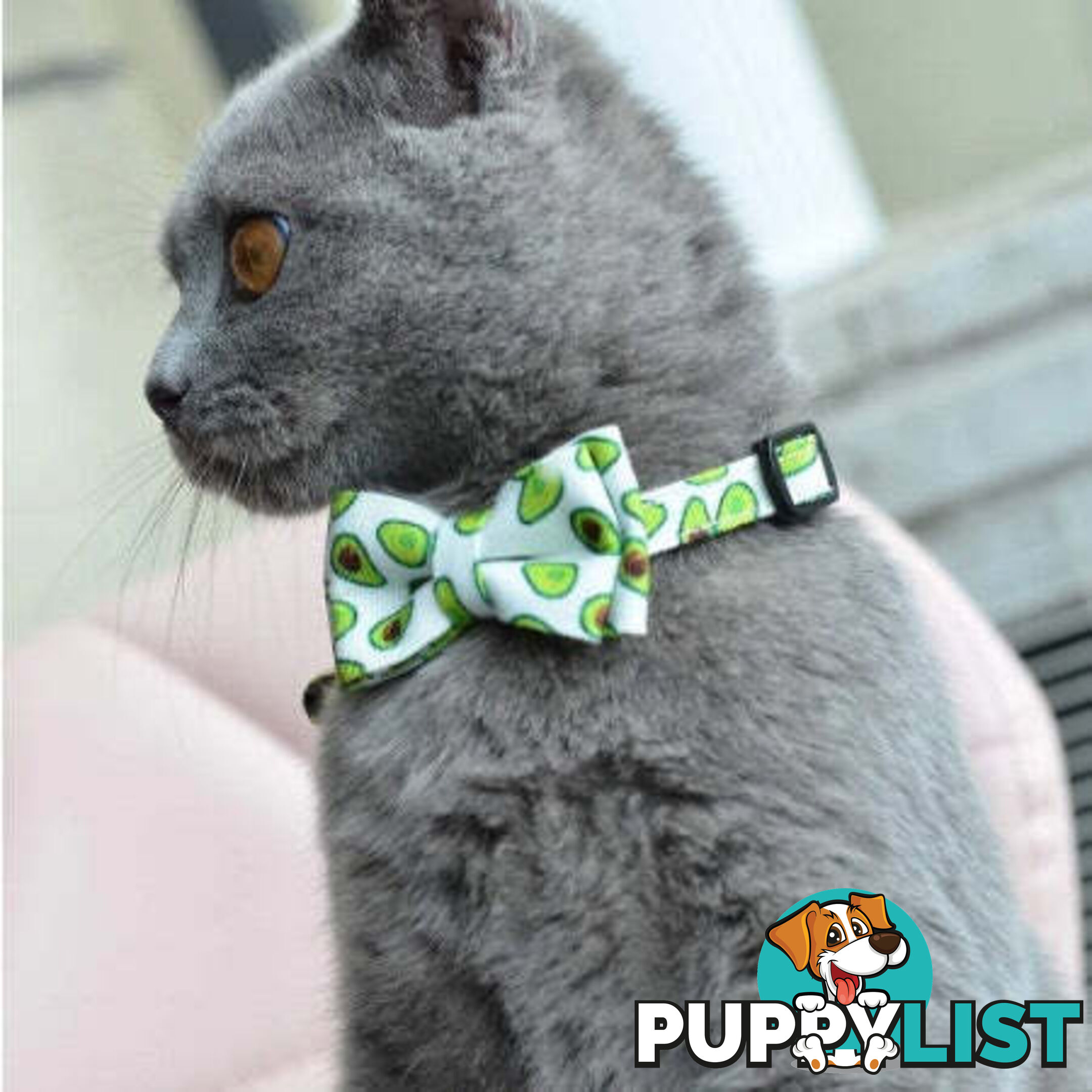 Breakaway Cat Collar & Bow Tie / XS - Hand Made by The Bark Side - TBSBRKXSCHY