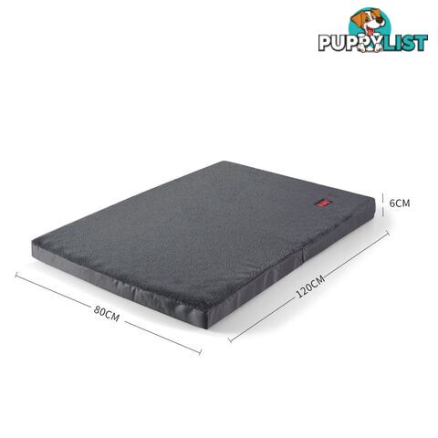 Pigs Ear - PTP-PIGSEAR