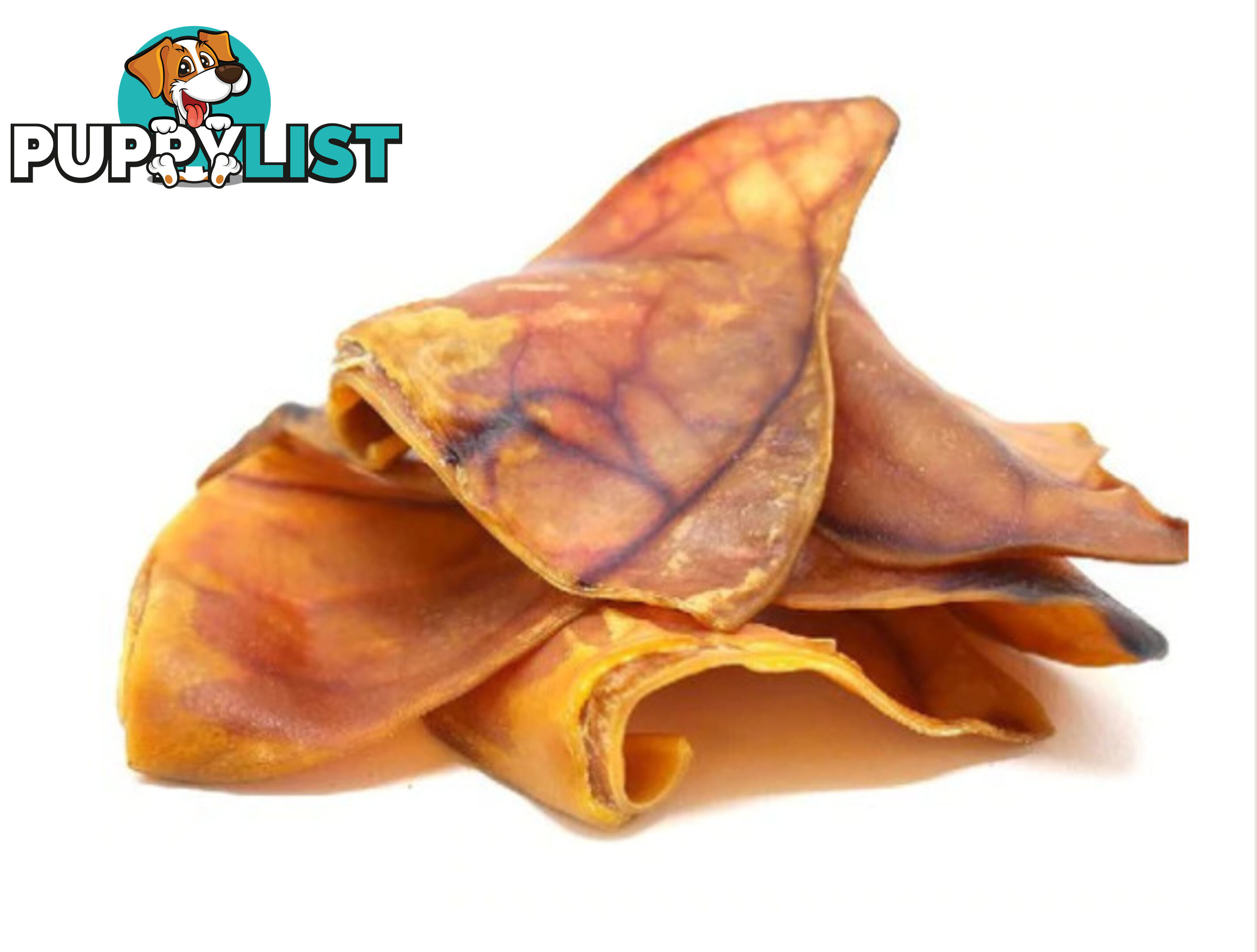 Pigs Ear - PTP-PIGSEAR