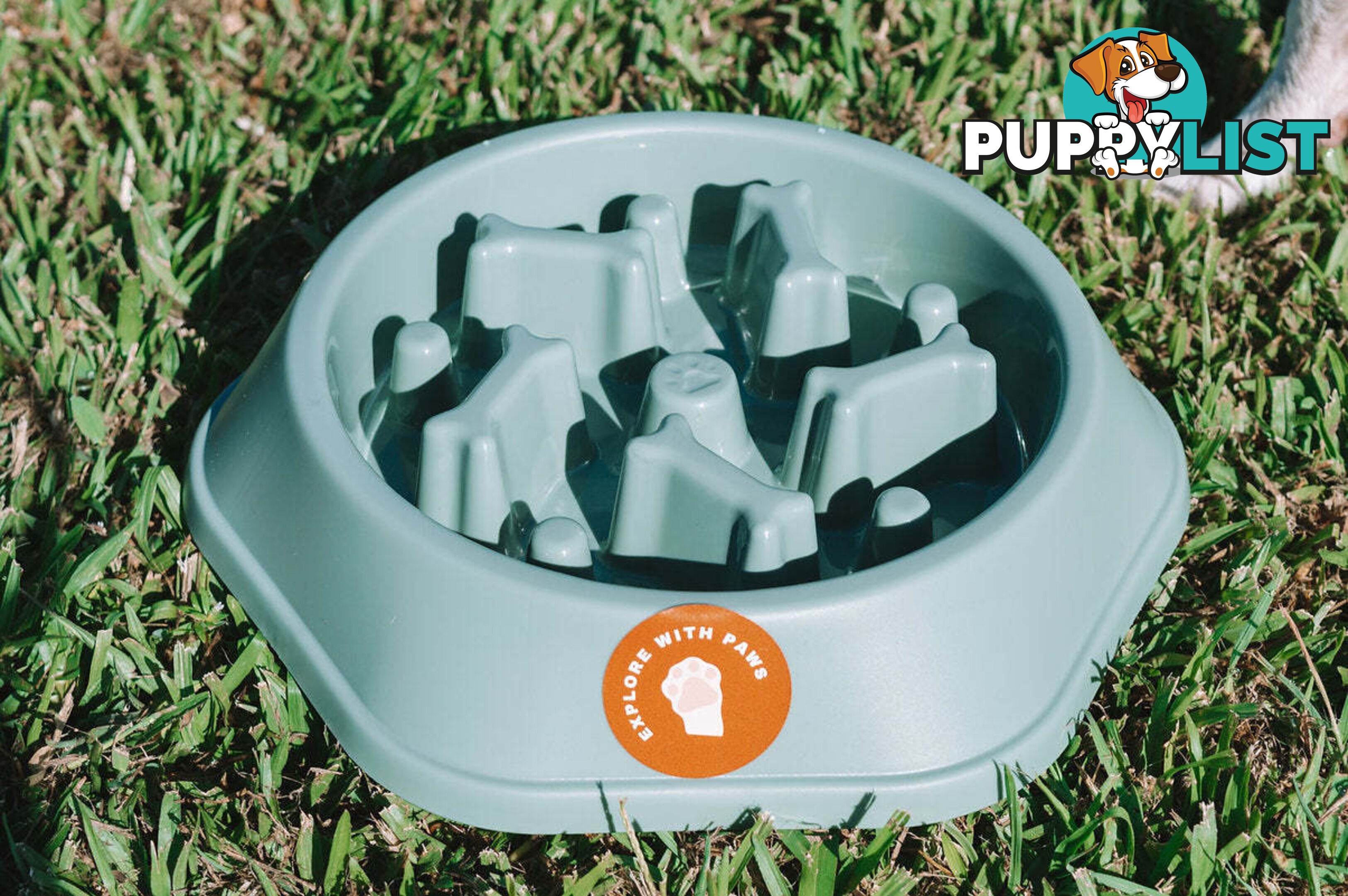 Slow Feeder Bowl - Explore with Paws - EWPSLOBOWGRN