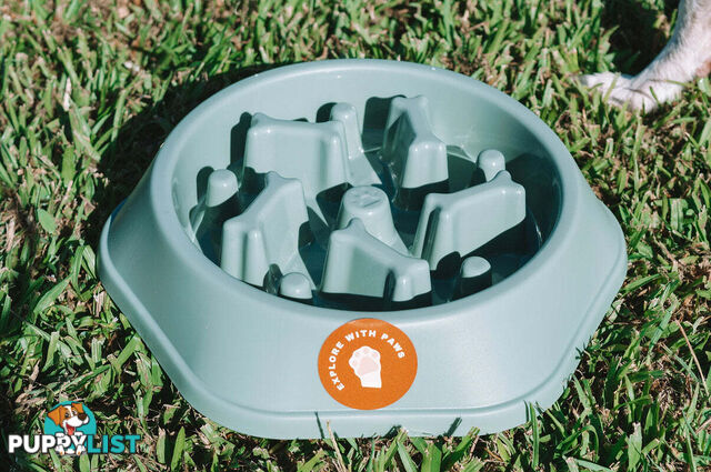 Slow Feeder Bowl - Explore with Paws - EWPSLOBOWGRN
