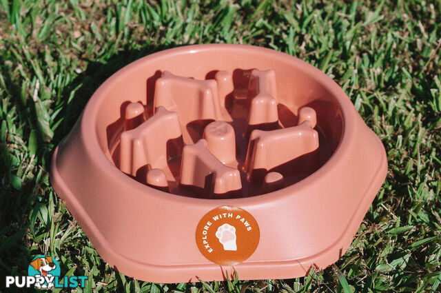 Slow Feeder Bowl - Explore with Paws - EWPSLOBOWGRN