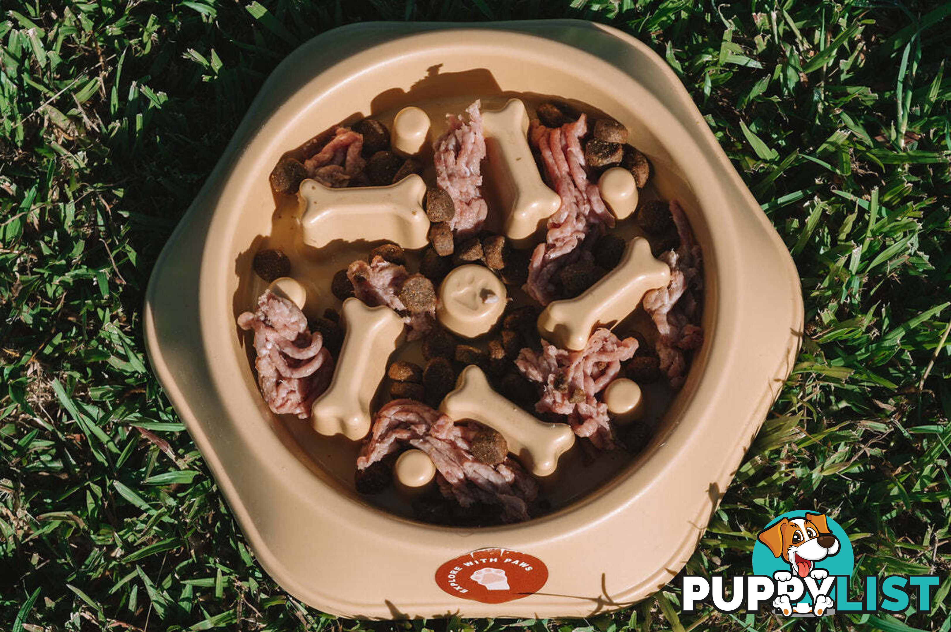 Slow Feeder Bowl - Explore with Paws - EWPSLOBOWGRN