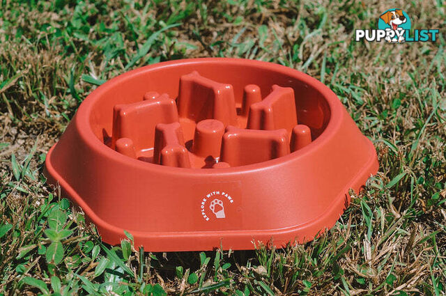 Slow Feeder Bowl - Explore with Paws - EWPSLOBOWGRN
