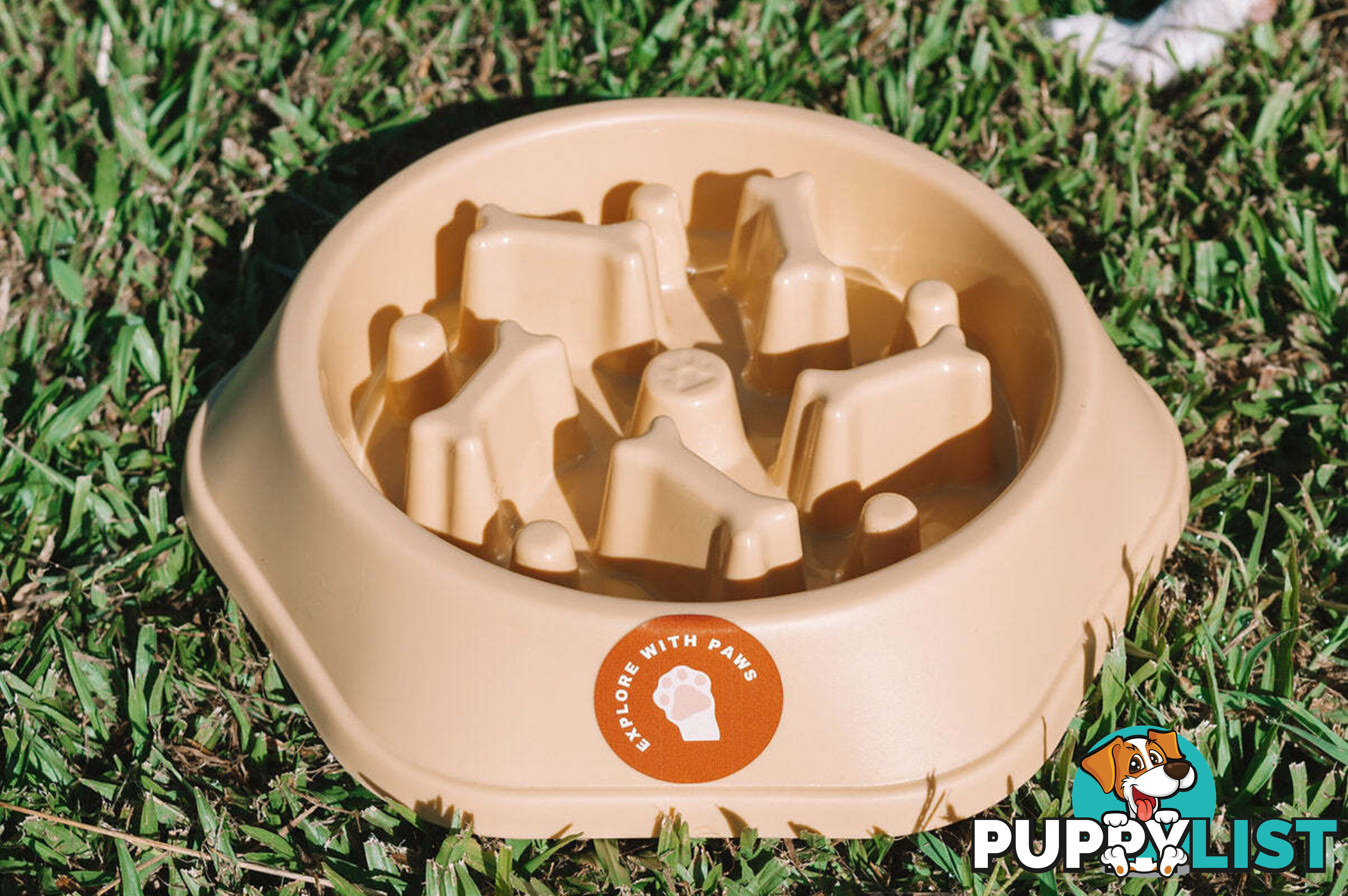 Slow Feeder Bowl - Explore with Paws - EWPSLOBOWGRN