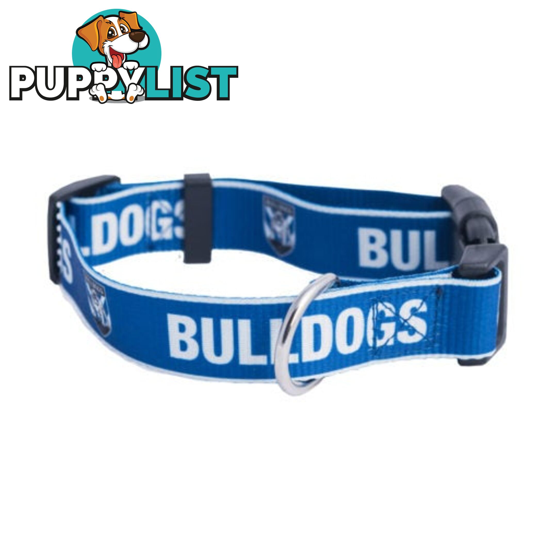 Dog Collars - NRL Footy Pets - FP-COL-M-RAI