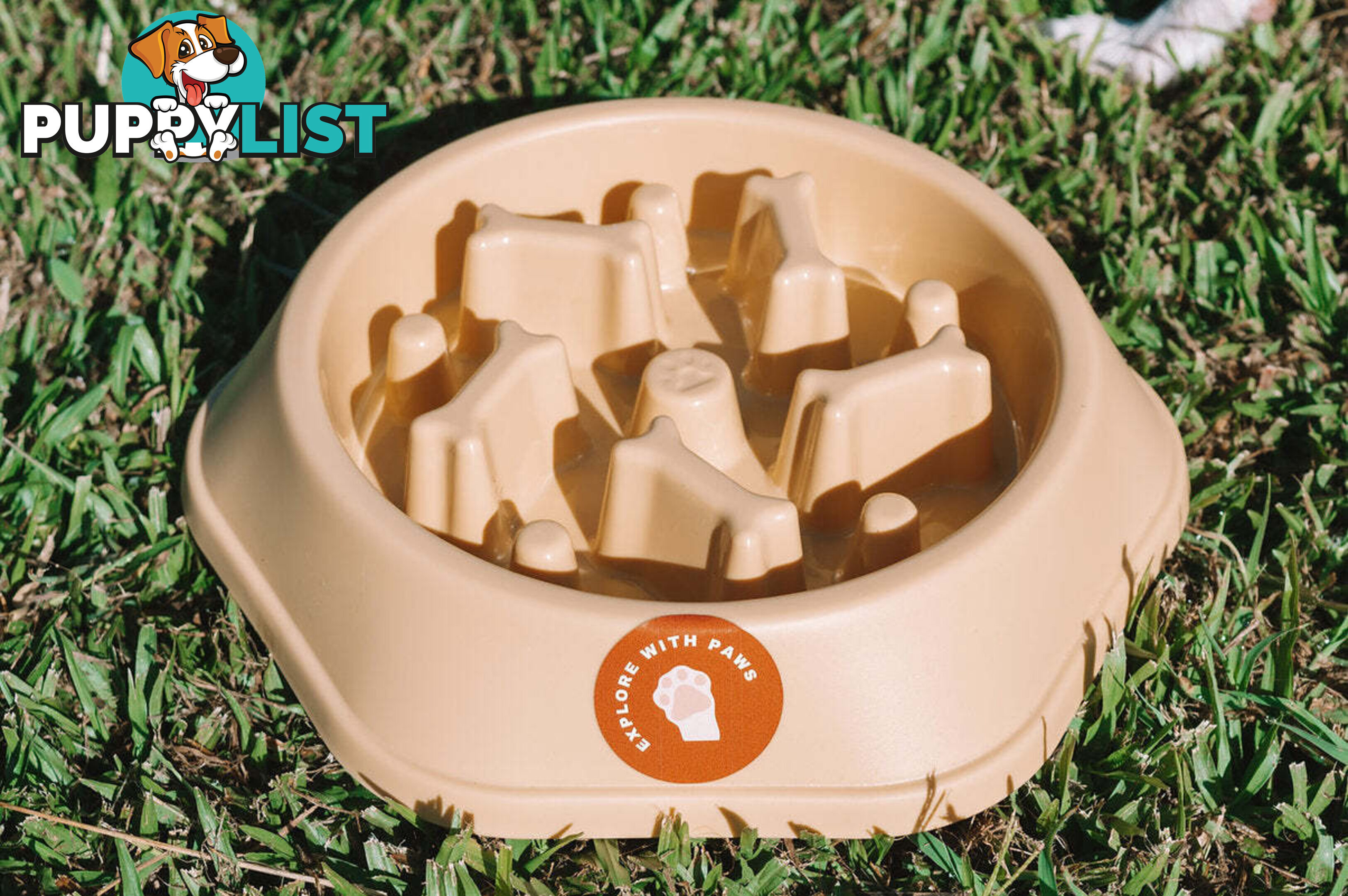 Slow Feeder Bowl - Explore with Paws - EWPSLOBOWSAL