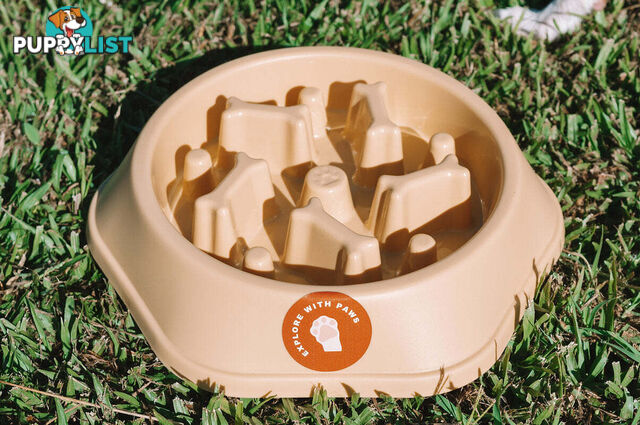 Slow Feeder Bowl - Explore with Paws - EWPSLOBOWSAL