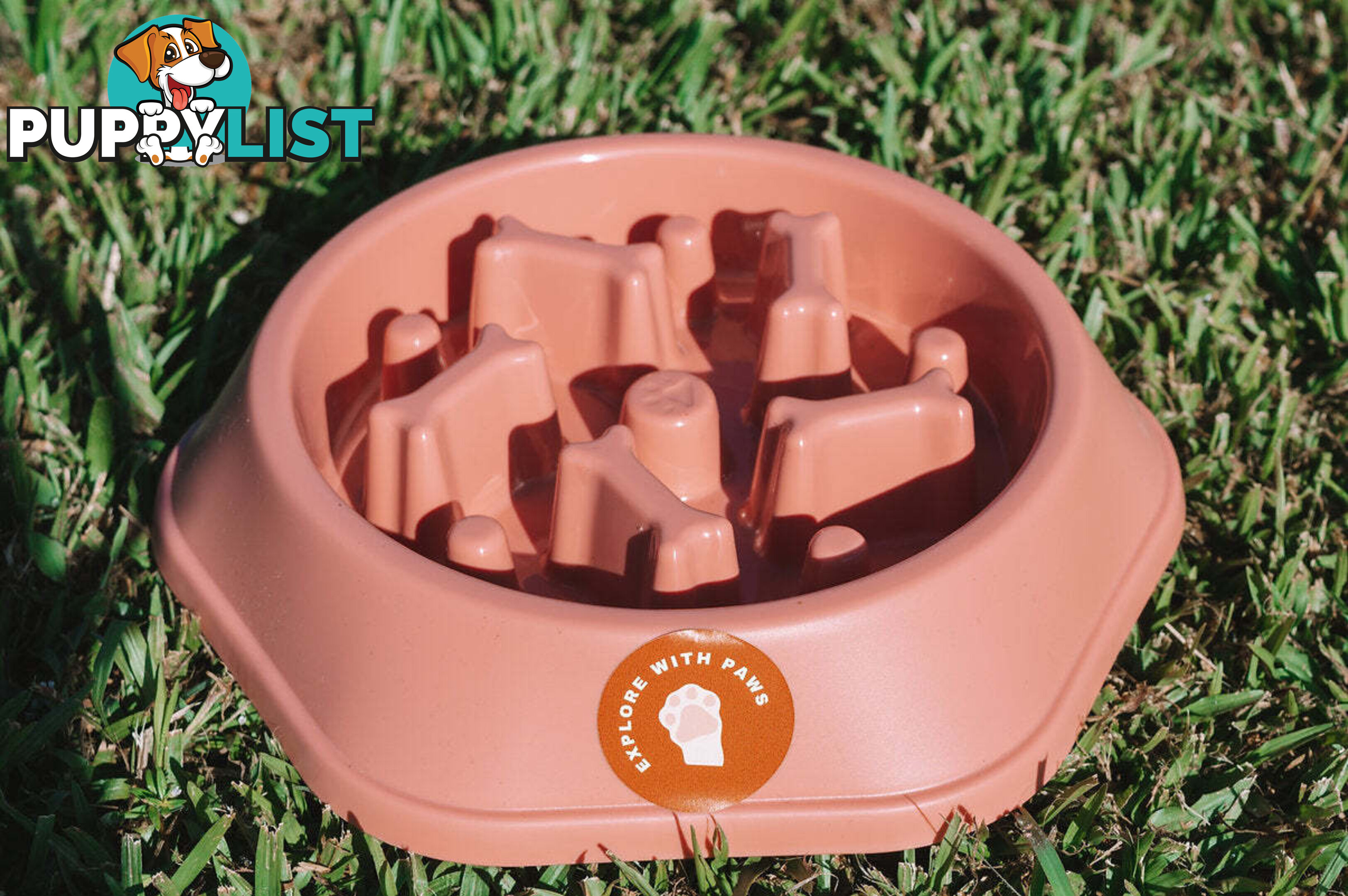 Slow Feeder Bowl - Explore with Paws - EWPSLOBOWSAL