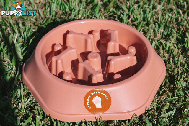 Slow Feeder Bowl - Explore with Paws - EWPSLOBOWSAL