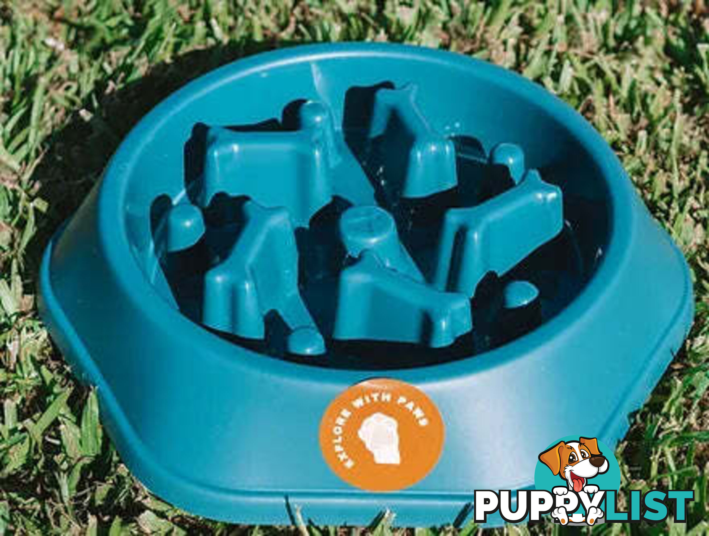 Slow Feeder Bowl - Explore with Paws - EWPSLOBOWSAL