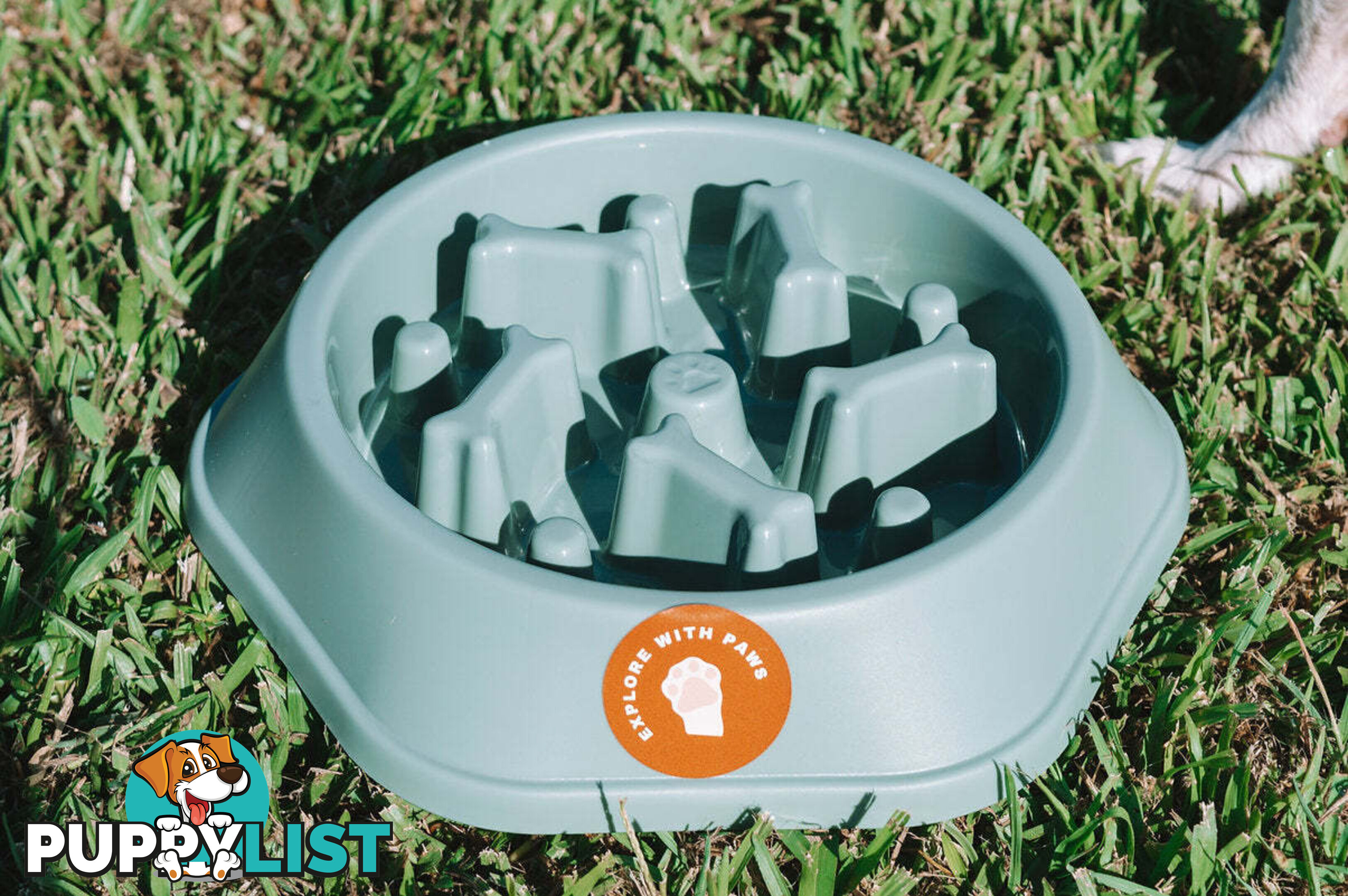 Slow Feeder Bowl - Explore with Paws - EWPSLOBOWSAL