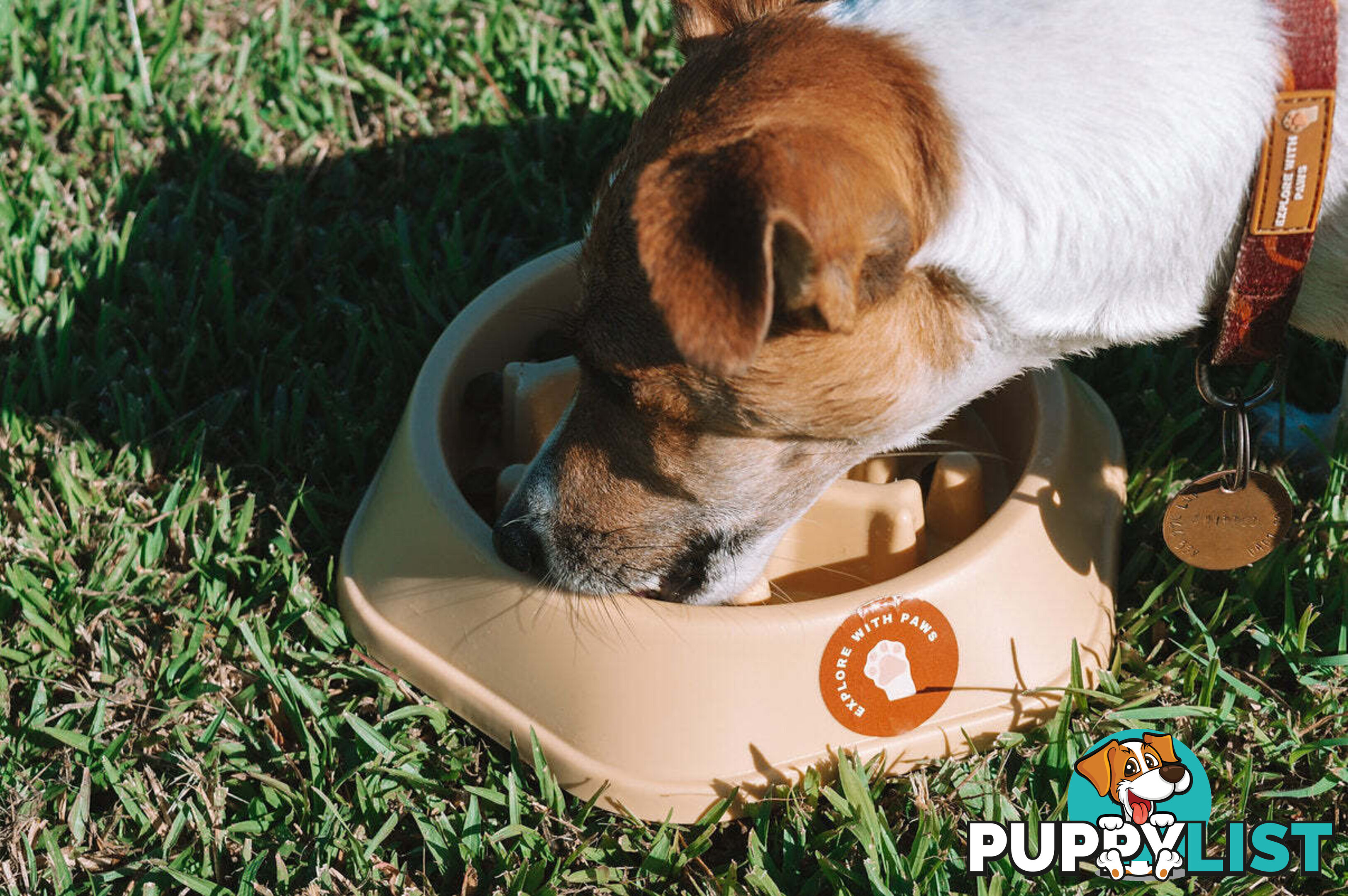 Slow Feeder Bowl - Explore with Paws - EWPSLOBOWSAL