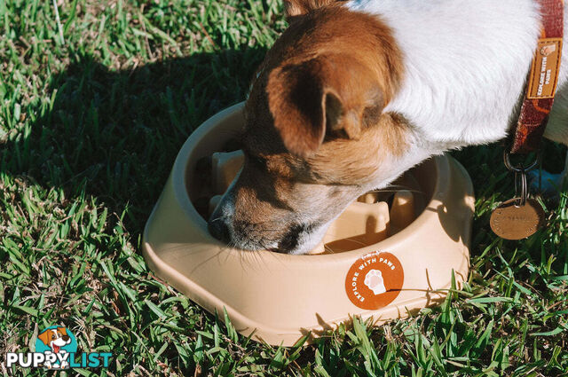 Slow Feeder Bowl - Explore with Paws - EWPSLOBOWSAL