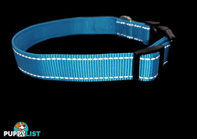 Nylon w/Reflective Stitching Dog Collar - Moondidley Pets - MDPCOLREFXSLBLU