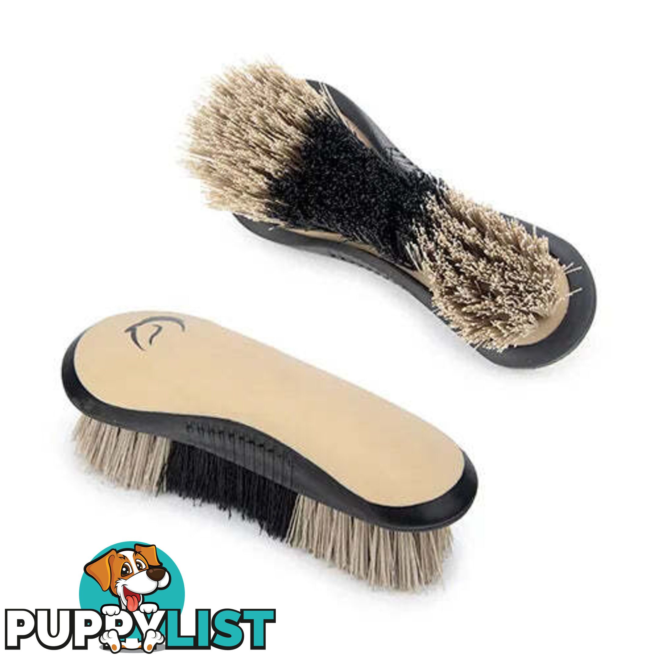 STIFF DANDY BRUSH - BAINBRIDGE - BB-A4072-PUBK