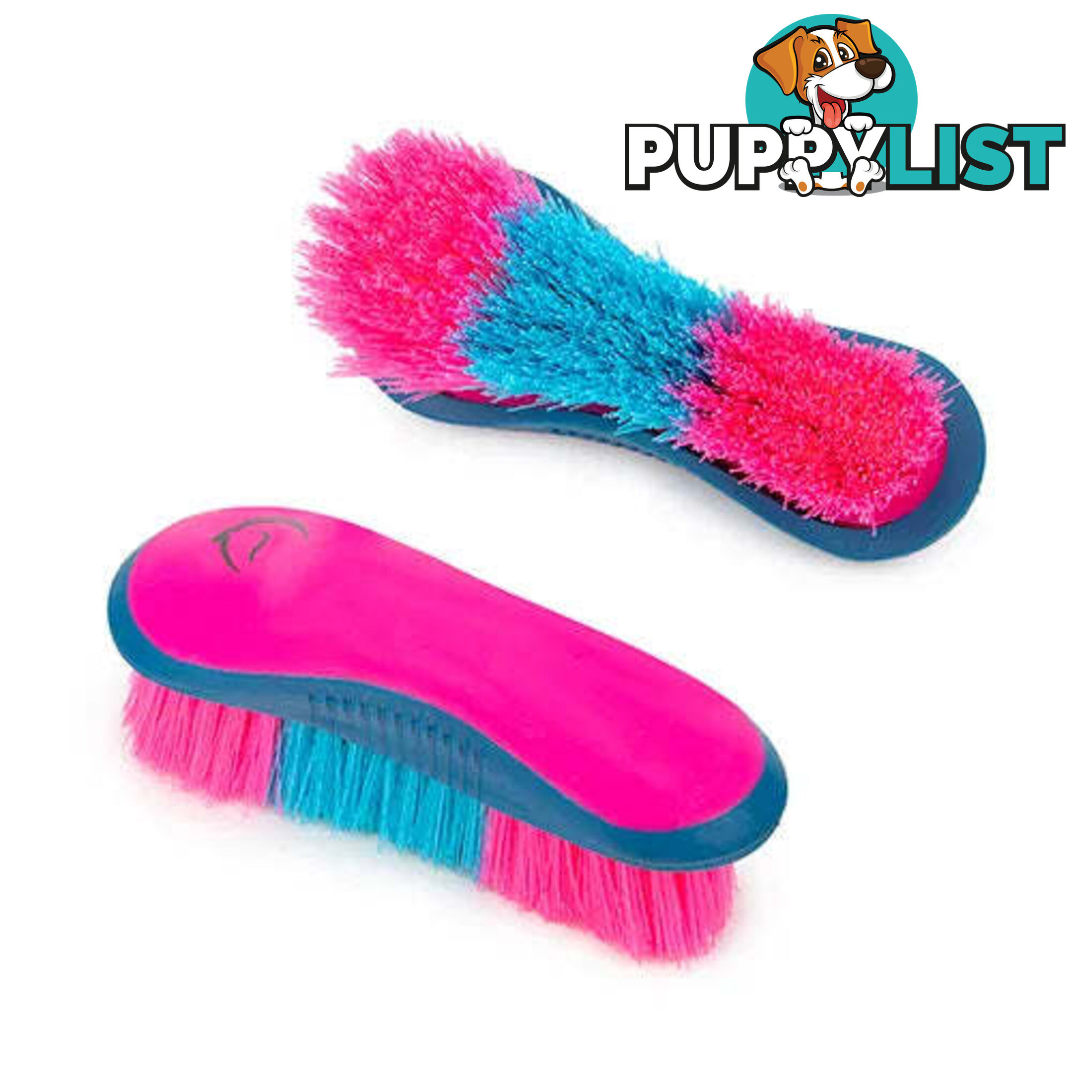 STIFF DANDY BRUSH - BAINBRIDGE - BB-A4072-PUBK