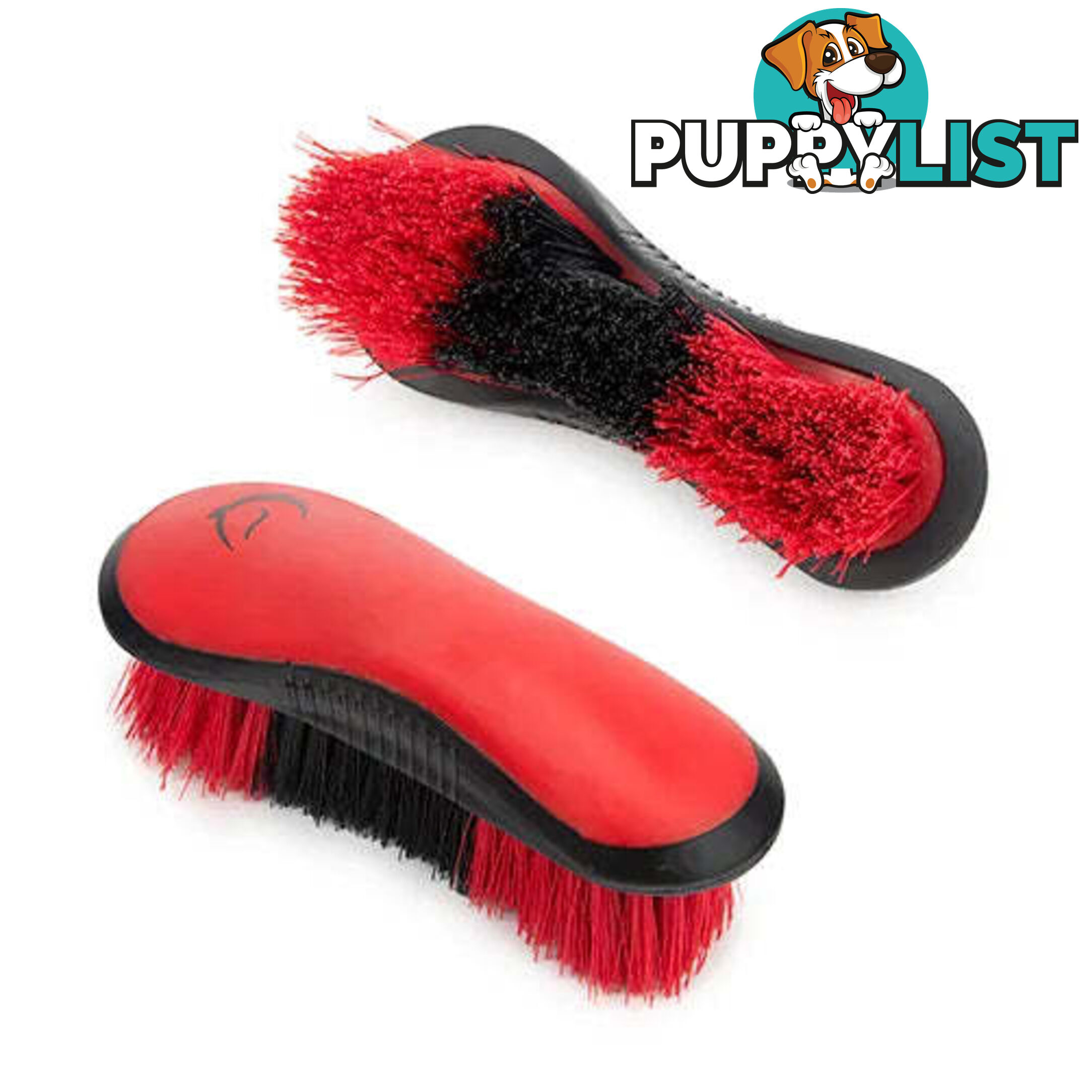 STIFF DANDY BRUSH - BAINBRIDGE - BB-A4072-PUBK