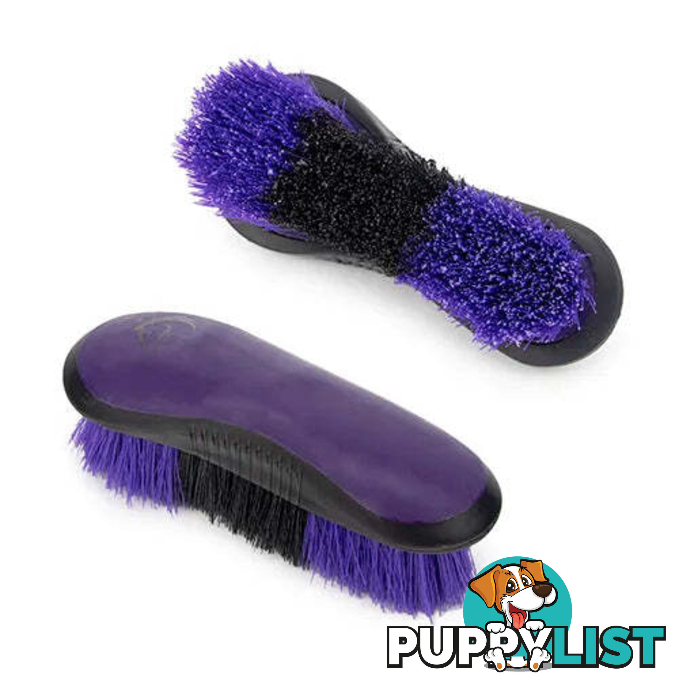 STIFF DANDY BRUSH - BAINBRIDGE - BB-A4072-PUBK