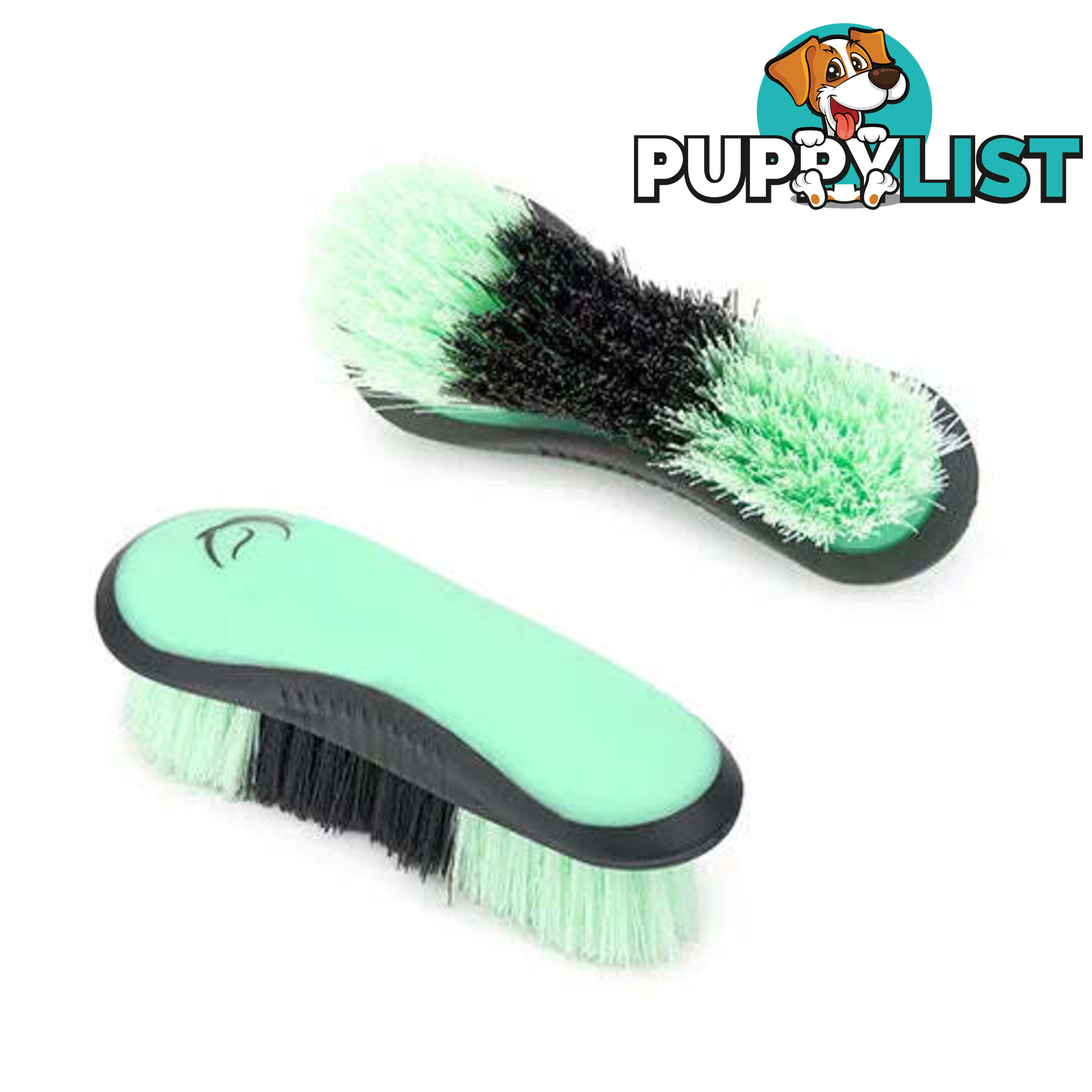 STIFF DANDY BRUSH - BAINBRIDGE - BB-A4072-PUBK