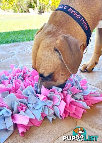 Snuffle Mats - Premium Heavy Duty Rubber Based - Pet Treat Play - Calms Anxiety - Slow Feeder - SNUFFLE-S-YLBK
