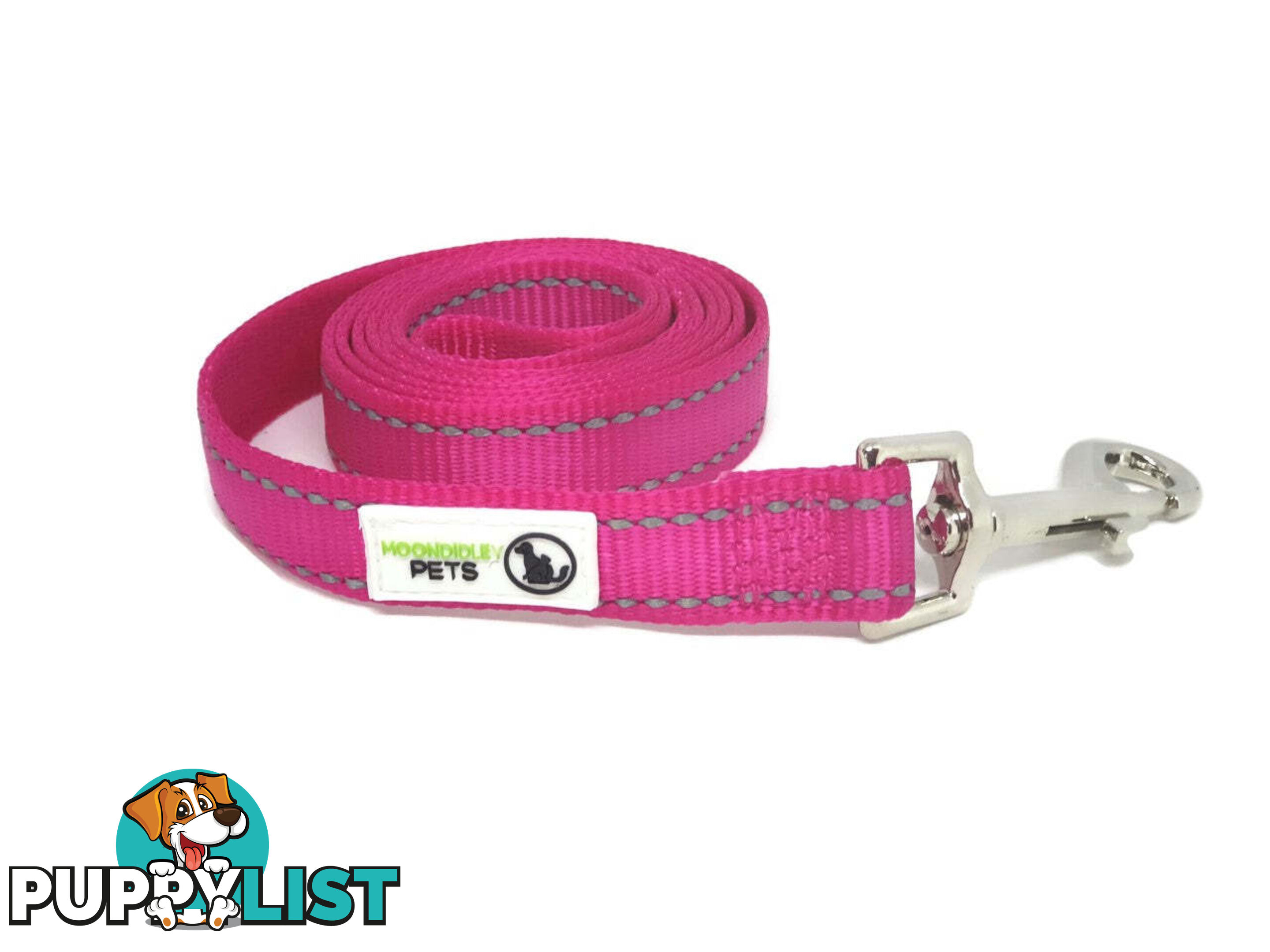 10m Long Nylon w/Reflective Stitching Dog Lead - Moondidley Pets - MDPLDREFLPUR2510