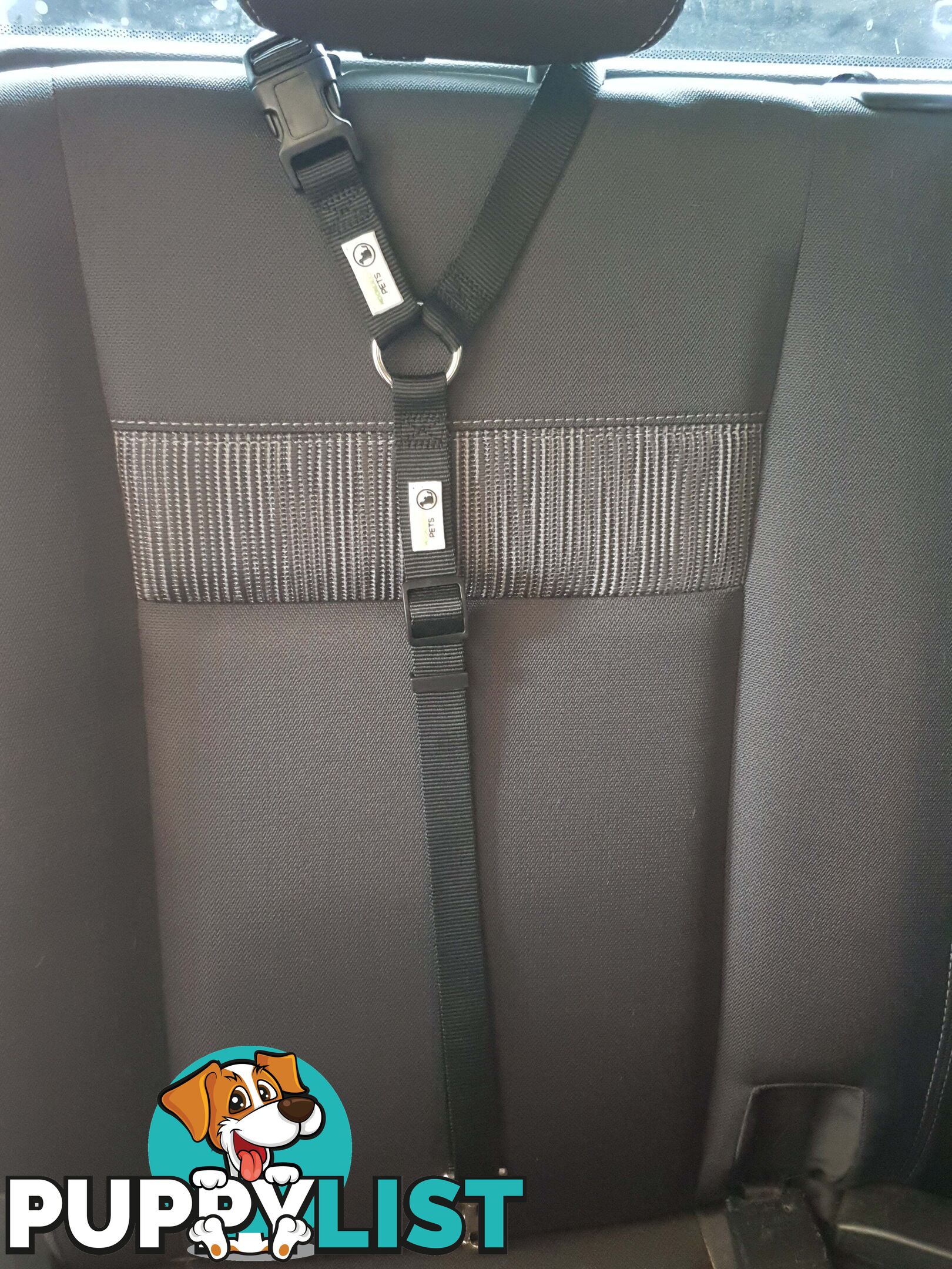 Dog Seatbelt Headrest Restraint Safety Travel - Moondidley Pets - MDPHRSBBK