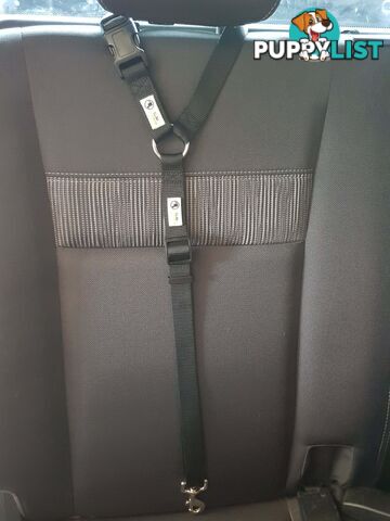 Dog Seatbelt Headrest Restraint Safety Travel - Moondidley Pets - MDPHRSBBK