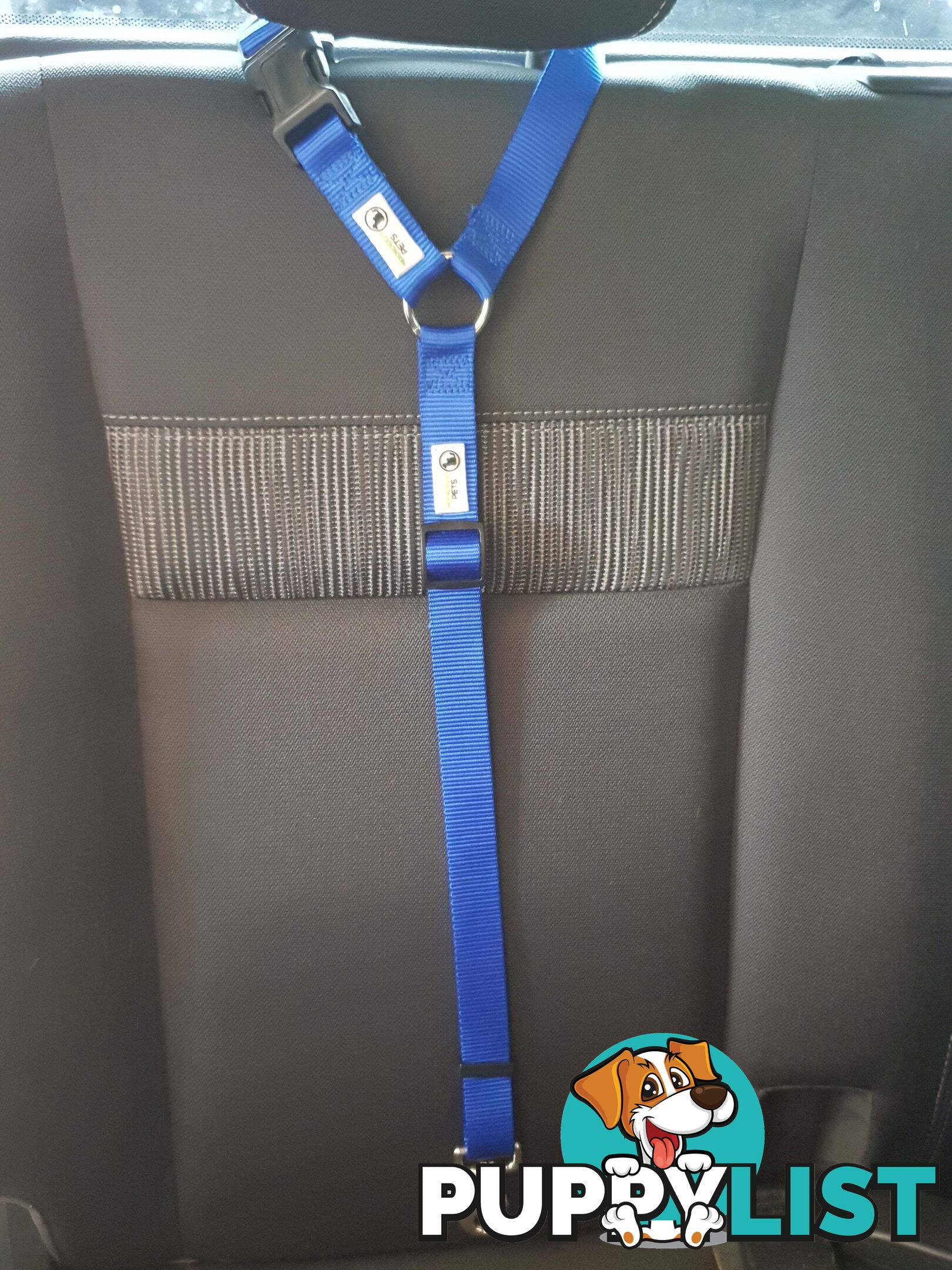 Dog Seatbelt Headrest Restraint Safety Travel - Moondidley Pets - MDPHRSBBK